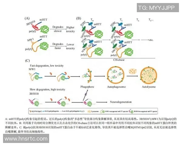 成都街舞队心理素质深度对比分析与团队表现的关系探讨
