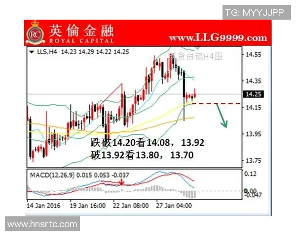 从零起步：全面解析排球团队协作技巧与实战策略